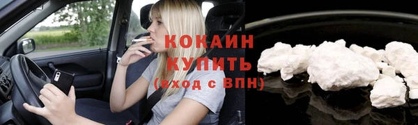 дмт Горняк