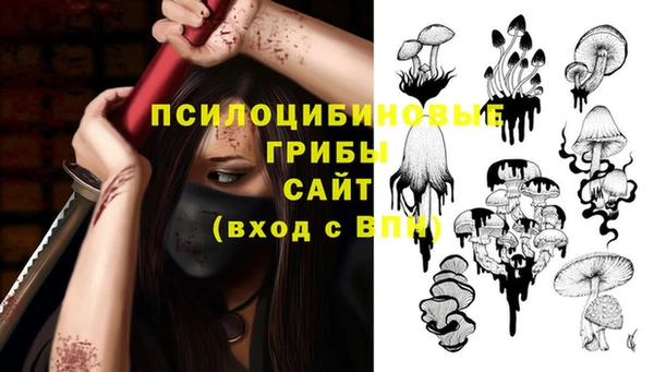 спайс Горнозаводск