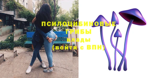 спайс Горнозаводск