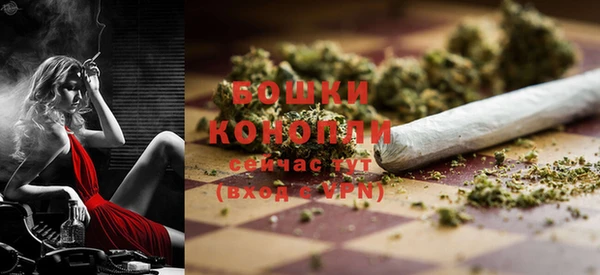 хмурый Сосновоборск