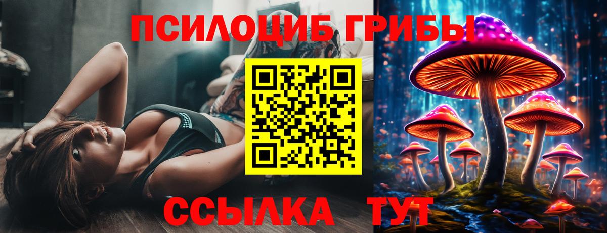 где можно купить наркотик  Галлюциногенные грибы Magic Shrooms  Вход с VPN  Псилоцибиновые грибы Psilocybe  Мценск 