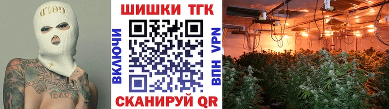 Конопля гибрид Мценск